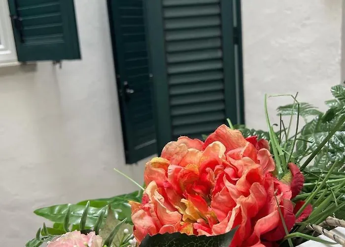 Bolognabyside-de Falegnami *