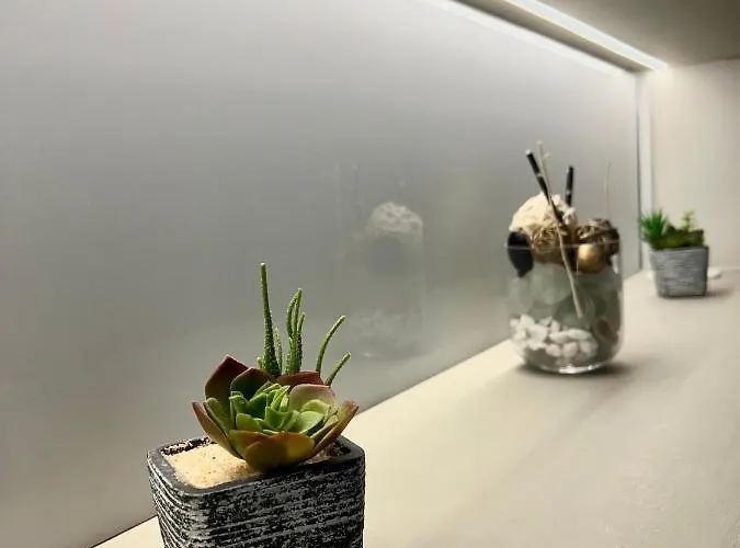 Bolognabyside-de Falegnami *