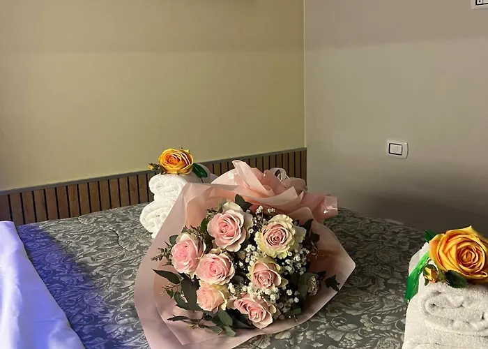 Daire Bolognabyside-de Falegnami Bolonya