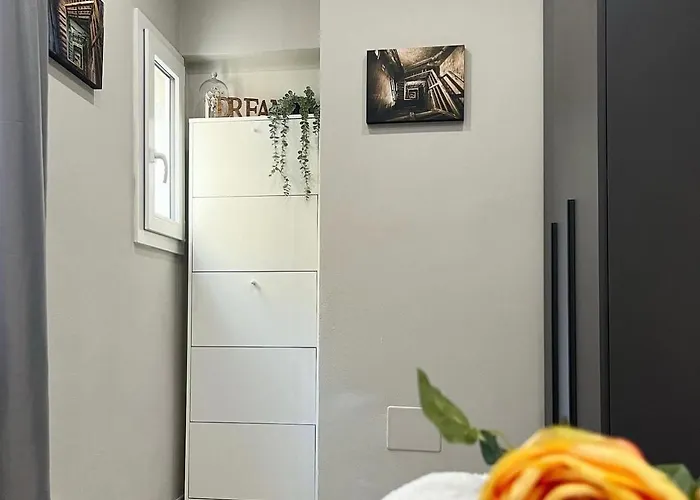 Bolognabyside-de Falegnami *