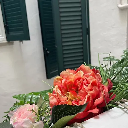 Bolognabyside-de Falegnami *