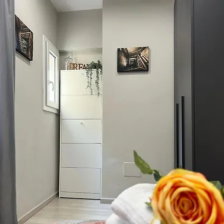 Bolognabyside-de Falegnami *